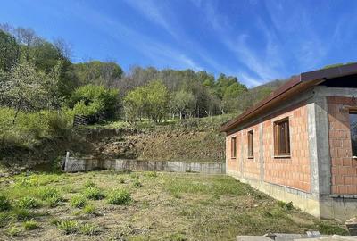 Casă cu Teren 3600 Mp în Vlădești - 6