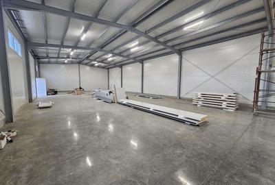 Spațiu comercial, de 1,000 mp, în Lugoj - 1