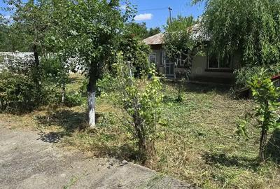 Teren si casa batraneasca - 10