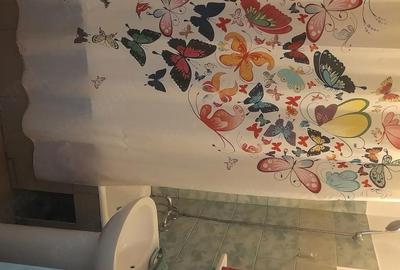 Apartament cu 3 camere decomandat în Ostroveni - 9