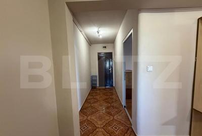 Apartament cu 2 camere semidecomandat în Lipovei - 10