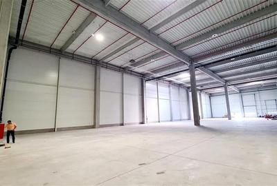 Spatiu industial 1700 mp , Timisoara exterior NORD - 3