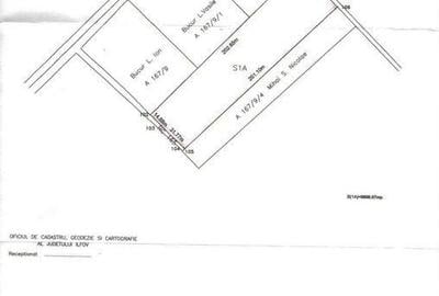 Teren de 10000 mp, în Dascălu - 3