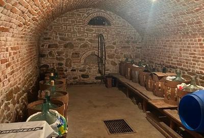 Casa comuna Merei, jud. Buzau - 4