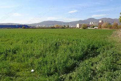 Teren de 43000 mp, în Central - 4