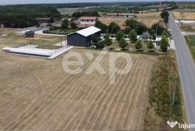 Teren în Crânguri - 13