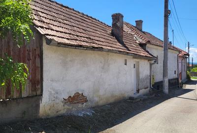 Casă cu 3 camere în Central