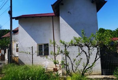 Casa P+M, Trivale - Cornu Vanatorului, teren 250 mp - 13