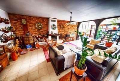 Proprietate unica, independenta energetic, zona Bucium - 4