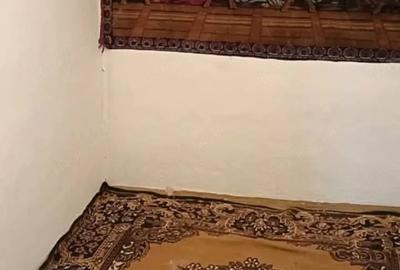 Casă cu 4 camere cu Teren 3500 Mp în Podgoria - 8