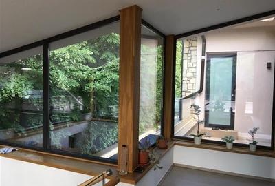 Vila cu piscina in zona  - Iancu Nicolae - Lidl ( teren 1500 Mp) - 15