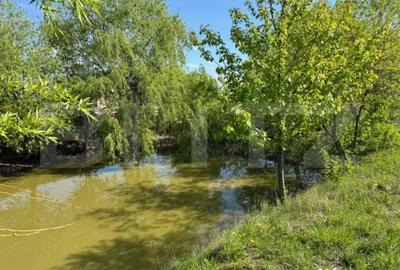 Teren de 19000 mp, în Central - 6