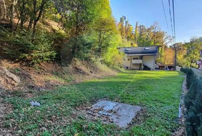 Proprietate exclusivista in Baia Mare - Valea Rosie, de vanzare - 3