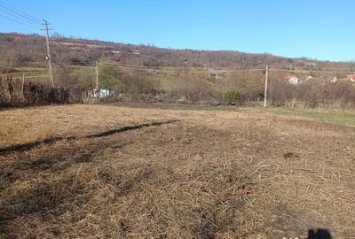 Teren de 800 mp, în Armeni - 6