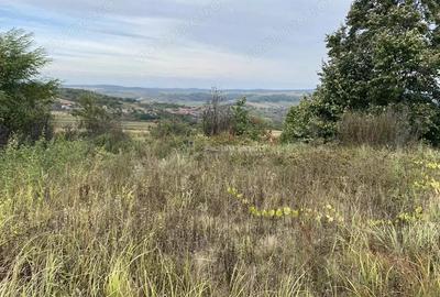 Teren extravilan de vanzare in Tileagd - 3166 mp cu panorama superba - 10