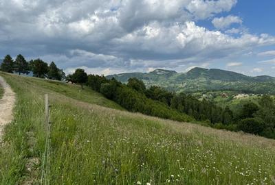 Teren inconjurat de natura de vanzare in Pestera - 5