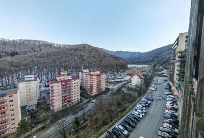 Inchiriem Apartament 2 Camere, Partial Mobilat, Open Space, Racadau - 9