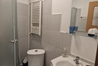 Apartament cu 2 camere decomandat în Dacia - 6