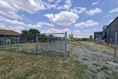 Teren logistic 907 mp de inchiriat/ Aurel Vlaicu - 10