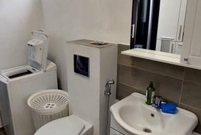 Casa 2 camere si curte de  500mp,spre inchiriere in Valea Aurie - 15