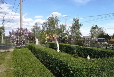Casă cu 5 camere cu Teren 3000 Mp în Central - 2