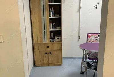 Spațiu comercial, de 36 mp, în Șagului - 2