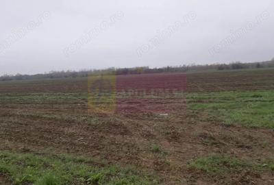 Teren Investi?ie aproape de Bucure?ti - 8