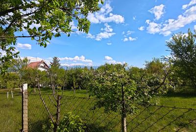 Teren intravilan de 1000 mp, în Daia - 1