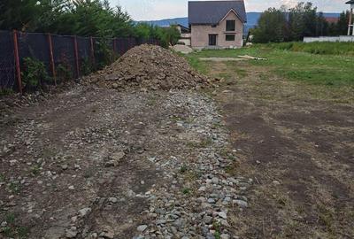 Casa Zona Sacerdoteanu Casa Zona Sacerdoteanu - 3