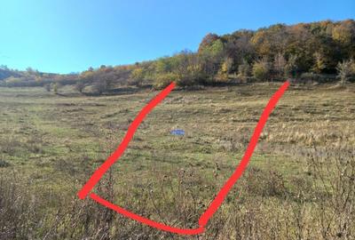 Teren de 895 mp, în Nord - 2