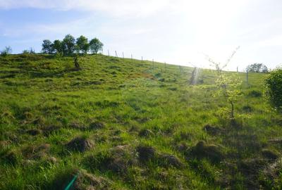 Teren 38,592mp Sighetu Marmatiei / Strada Mocanitei - 4