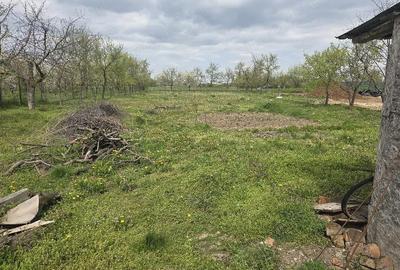 Casă cu Teren 1439 Mp în Ianova - 1