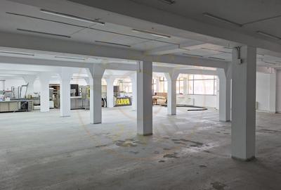 Spațiu comercial, de 600 mp, în Big-Bascov - 3