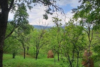 Teren în Șotrile - 2