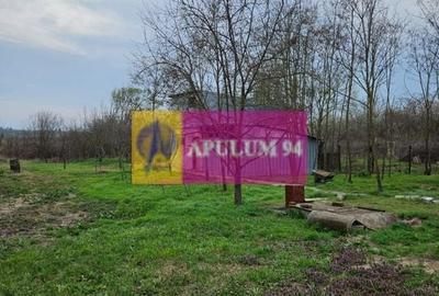 GIURGIU - COM. BUCSANI (SAT OBEDENI) CASA 2 CAM DE VANZARE - 14