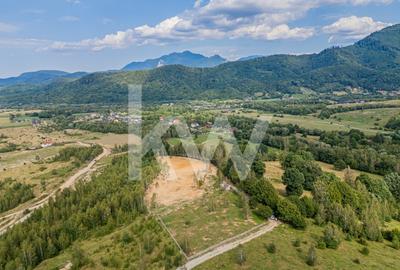 COMISION 0 %!!!!Teren cu priveliste remarcabila asupra orasului Rasnov - 15