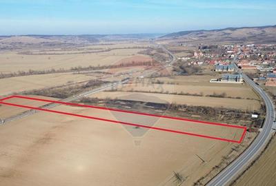 Teren extravilan 10000 mp langa Medias - oportunitate de ... - 4