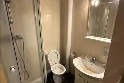 Apartament cu 3 camere decomandat, mobilat în Bucovina - 6