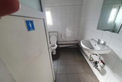 Hala 500 mp, 4,50 e/mp Hala 500 mp, 4,50 e/mp - 4