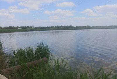20 ha Amenajare Piscicola Ialomi?a, Lacul Strachina de inchiriere - 1