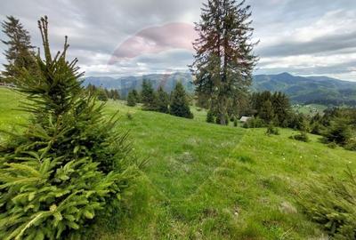 O fereastra catre cer - teren de vis in Fundata, la poalele Bucegilor - 6