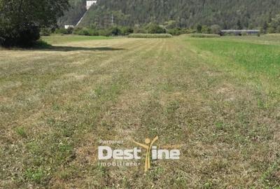 Teren Construcții intravilan de 4488 mp, în Pângărați - 1