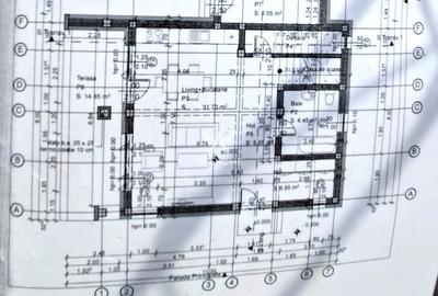 Casa Selimbar - Curte 500 mp - 5