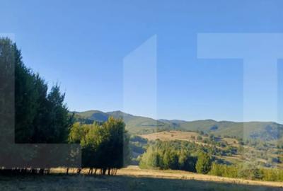 Teren de 11600 mp, în Central - 2