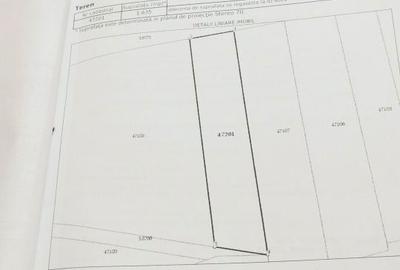 Spațiu comercial, în Pielești