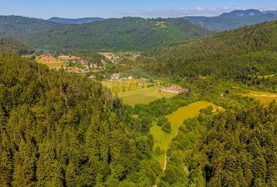 COMISION 0% Teren Bradet 7300 + 6000 mp/ Sacele /Intravilan - 7