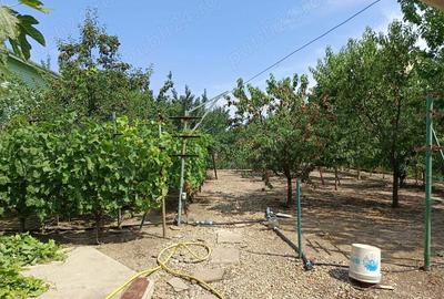 Otopeni central VILA P+1 cu 3 apartamente si 1000 mp teren - 2