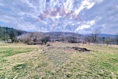 Teren de 2286 mp, în Mărgineni - 6