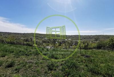 Casă individuală cu 2 camere cu Canalizare în Dealuri Oradea - 8