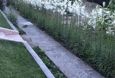 Casă cu 3 camere cu Teren 2900 Mp în Central - 3